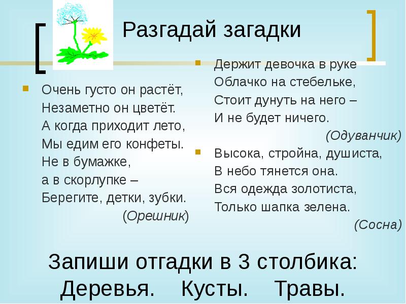 Загадка растет. Разгадай загадку. Разгадываем загадки. Загадки очень густо он растет. Загадка держит девочка в руке облачко на стебельке.