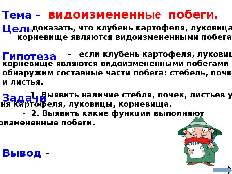 Цель побега. Доказать что клубень картофеля видоизмененный побег. Докажите что клубень видоизмененный подземный побег вывод. Доказательство того что клубень это видоизмененный побег. Гипотеза подземные побеги.