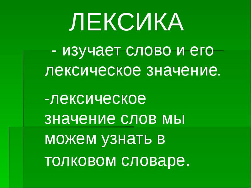 Реферат: Омонимия лексическая и синтаксическая