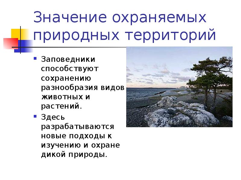 Особо охраняемые природные территории и их значение в охране природы проект