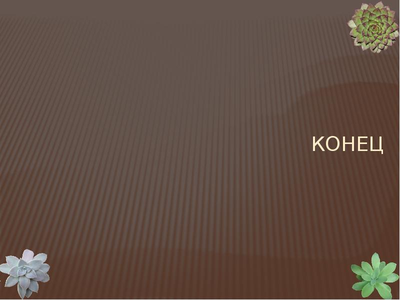 Конец Конец
