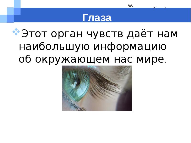 Интересные факты о органах чувств. Сообщение о органе чувств. Органы чувств глаза. Рассказ о органах чувств.