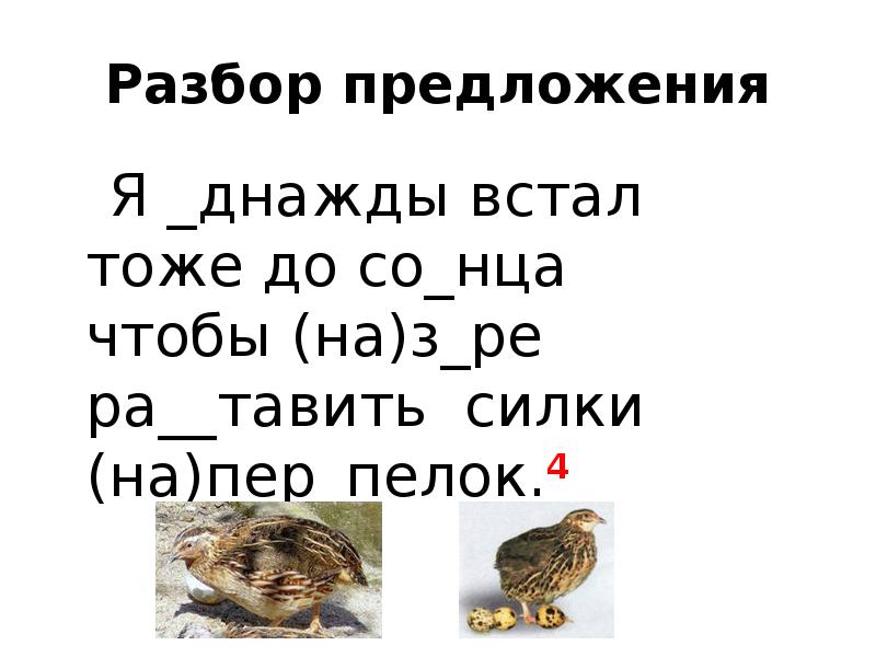 Разбор предложения
Я _днажды встал тоже до со_нца чтобы Разбор предложения
Я _днажды встал тоже до со_нца чтобы