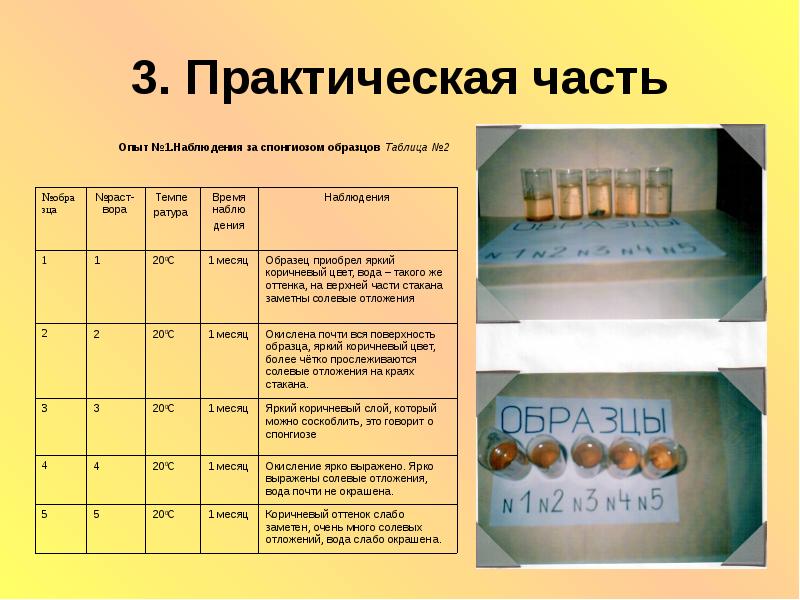 Практическая 3. Наблюдение за коррозией. Таблица практическая часть металлов. Проект по химии 10 класс темы с практической частью.