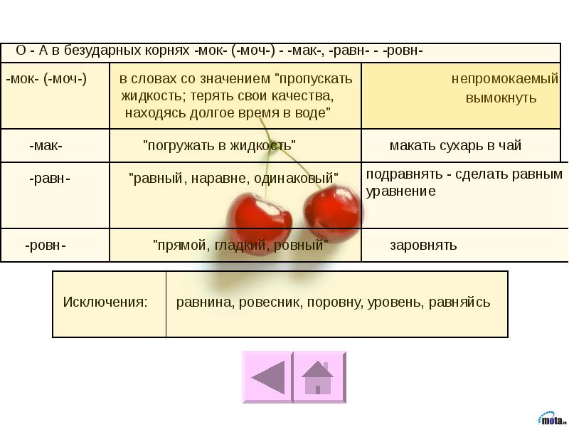 Мак мок моч. Корень Мак моч. Корни Мак МОК моч. Слова с корнем Мак МОК моч. Слова исключения с корнем Мак МОК.