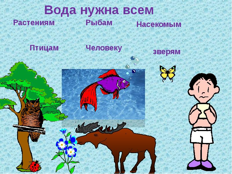 Значение воды в природе картинки для детей