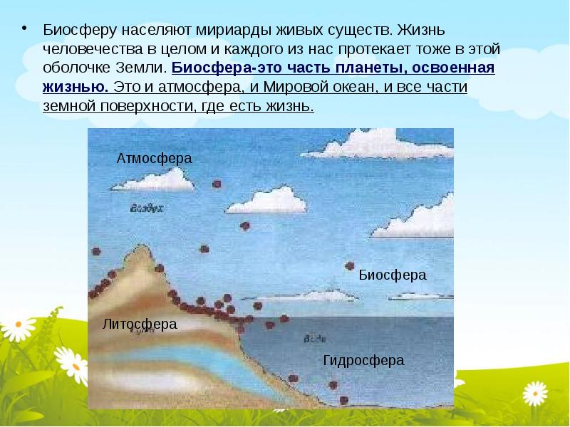 Биосфера сфера жизни презентация 5 класс