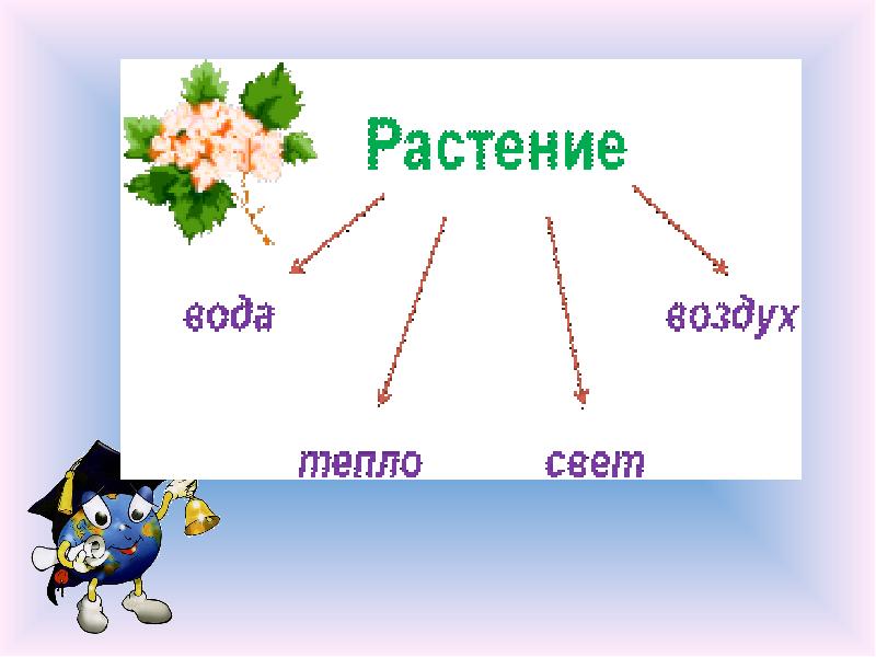 Презентация 1 класс животные живые существа 1 класс