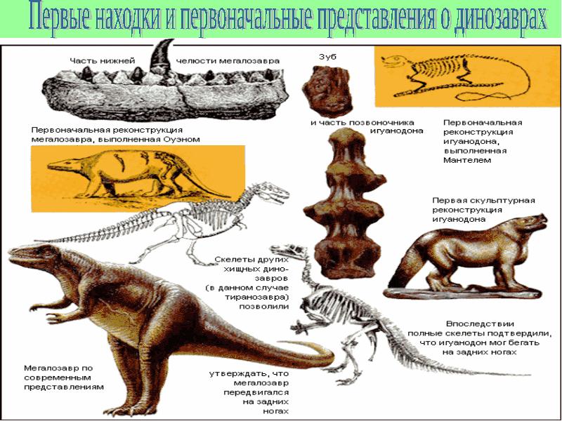 Животные прошлого проект