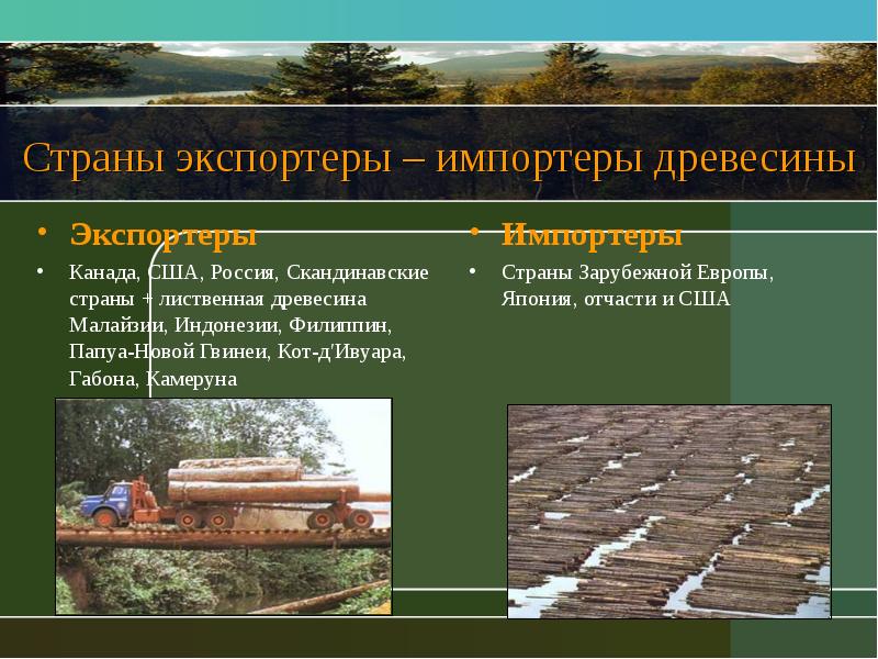 Страны экспортеры – импортеры древесины Экспортеры Канада, США, Россия, Скандинавские страны