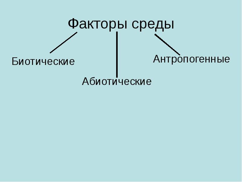 Установите соответствия факторов среды