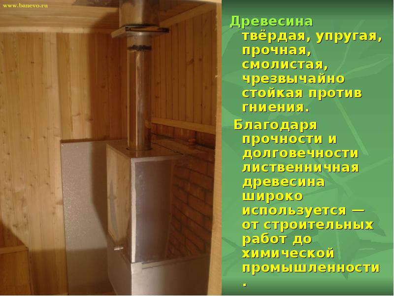 Древесина твёрдая, упругая, прочная, смолистая, чрезвычайно стойкая против гниения.
Древесина твёрдая, Древесина твёрдая, упругая, прочная, смолистая, чрезвычайно стойкая против гниения.
Древесина твёрдая,