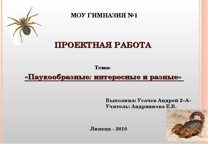 Паукообразные гермафродиты. Плюсы и минусы паукообразных. Классификация обезьян нового света паукообразные. Как написать вывод к проектной работе по теме паукообразные.