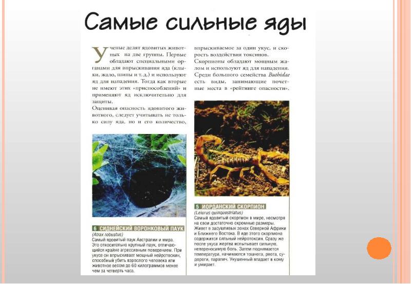 самое ядовитое вещество в мире. самый сильный яд в мире. сильные яды для человека. самый сильный яд в мире. ужасный листолаз яд.