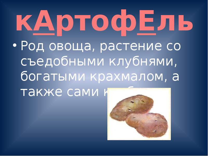 Писаны презентация. Картофель род. Картофель род существительного.