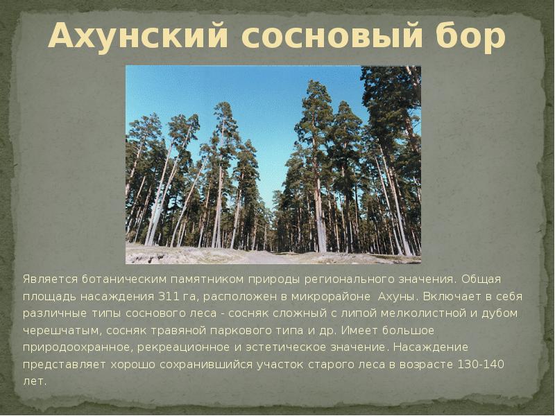 Сообщение о памятнике природы. Ахунский Сосновый Бор в Пензенской области. Природные памятники Пензенской области Ахунский Сосновый Бор. Памятники природы Пензенской области. Проект заповедники Пензенской области.