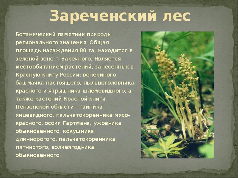 Растения пензенской области фото и описание