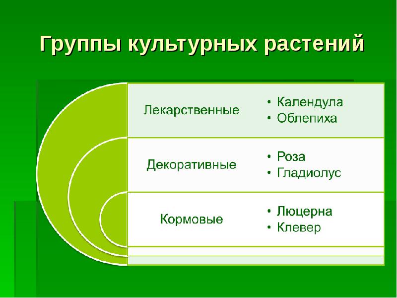 Многообразие культурных растений. Группы культурных растений. Группы культурных растений 3. Группы культурных растений и культурные растения. Культурные растения группа культур.