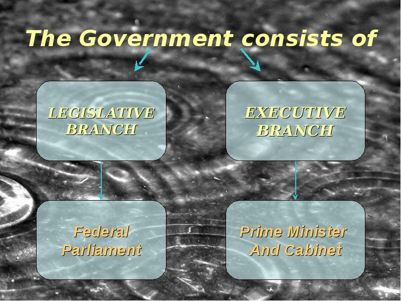 The Government consists of The Government consists of