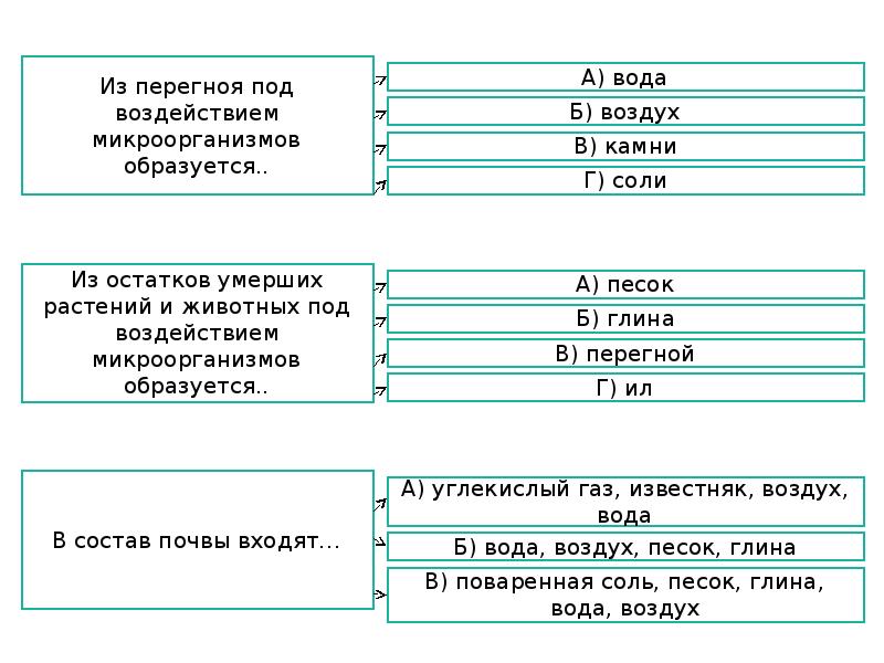 Образована под. Из остатков растений и животных образуется. Перегной образуется из остатков растений и животных. Что образуется из перегноя. Из перегноя под действием организмов образуются.