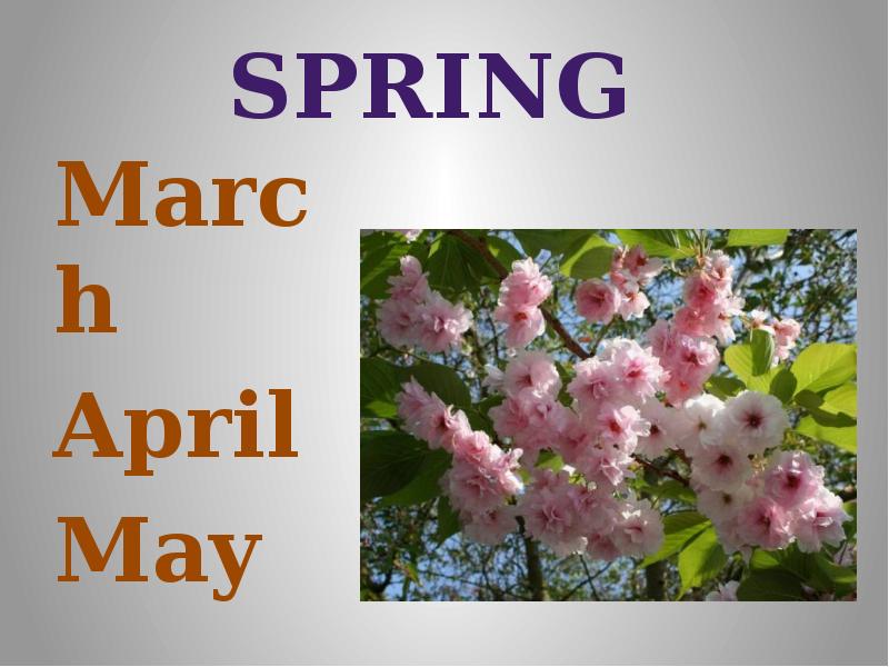 Seasons and months