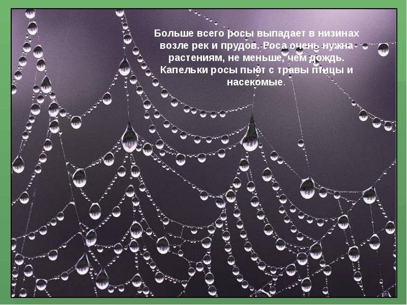 Выпала роса. Роса выпадает. Как выпадает роса. Почему выпадает роса.