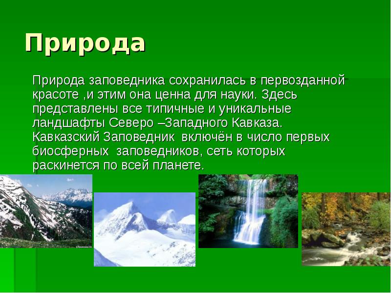 Проект природа россии