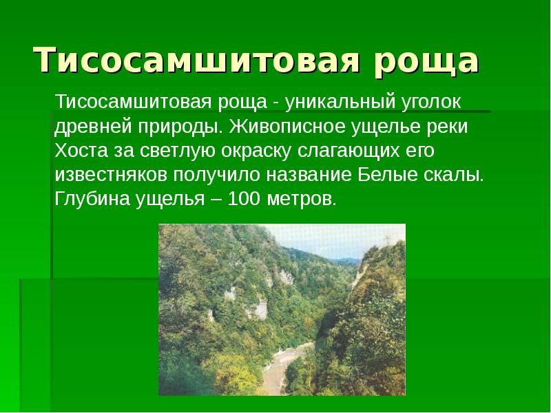 О заповедниках краснодарского края презентация