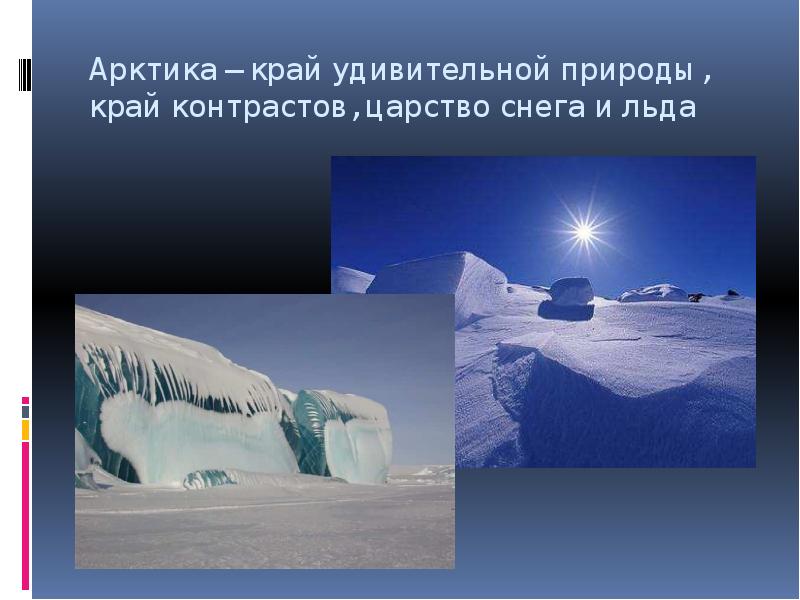 Арктика – край удивительной природы, край контрастов, царство снега и льда