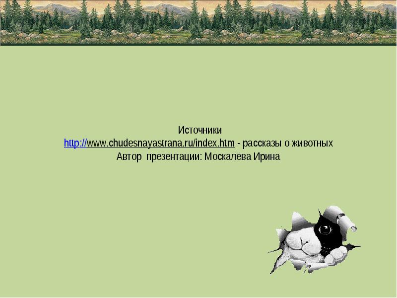 Источники http://www.chudesnayastrana.ru/index.htm - рассказы о животных  Автор презентации: Москалёва Ирина