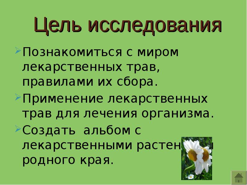 Цель растения. Вывод о лекарственных растениях. Заключение проекта лекарственные растения. Лекарственные растения вывод для презентации. Заключение в проекте лекарственные травы.