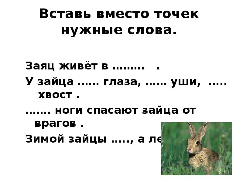 Суффикс слова зайцы. Предложение про зайца. Задания со словом заяц. Предложение со словом зая. Предложение со словом заяц.