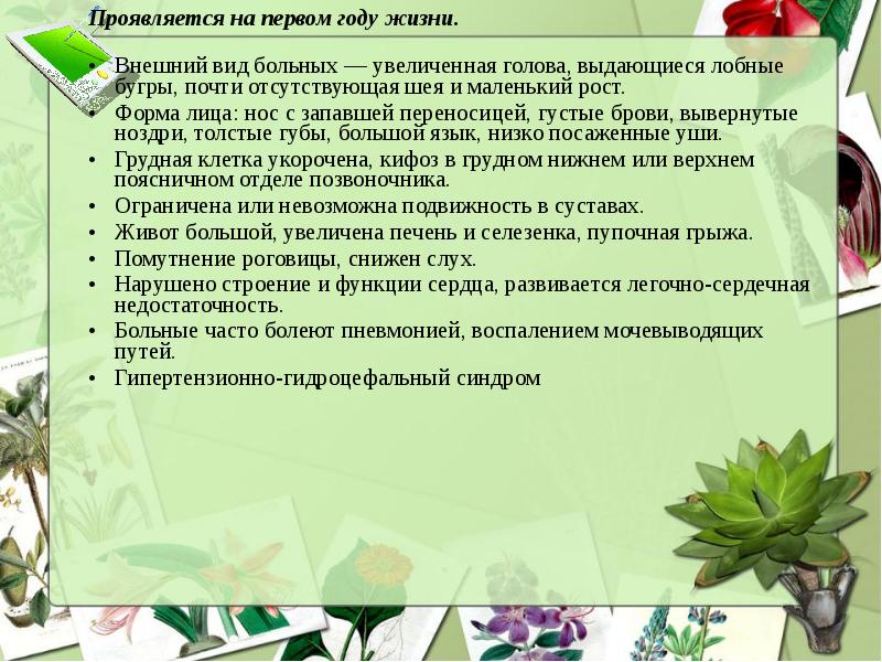 Как проявляться в жизни