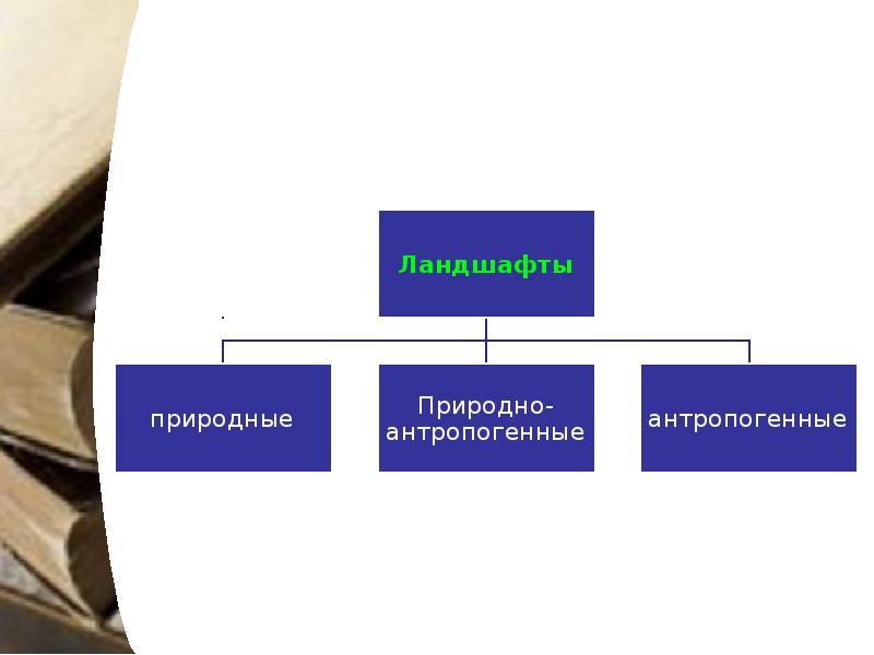 Введение в экологию презентация