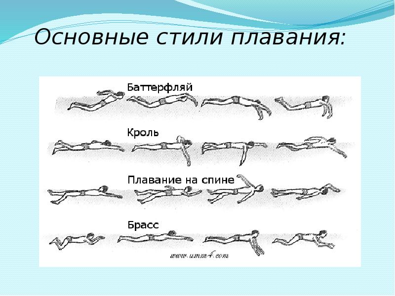 Картинки брасс техника