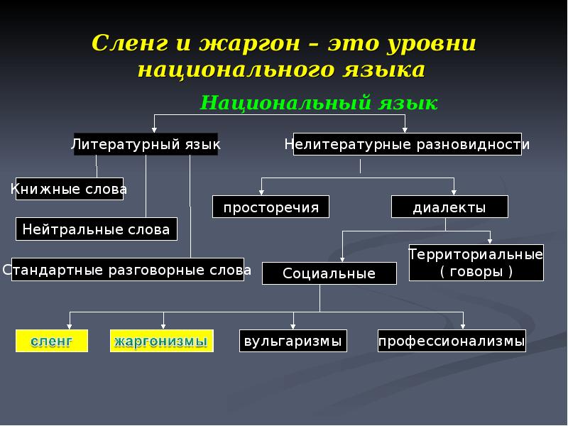 Проект экология языка