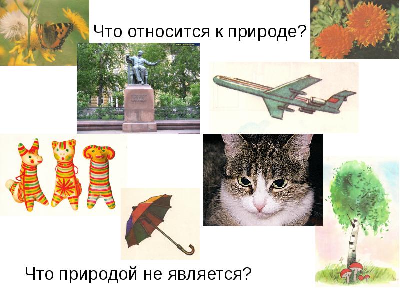 Что относить к природе. Что не относится к природе. Не относятся к природе предметы которые. Что относятся к природе картинки. Что не относится к природе картинки.