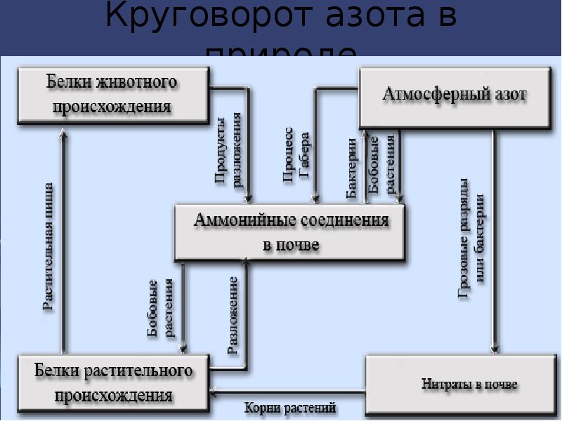 Схема азота в природе