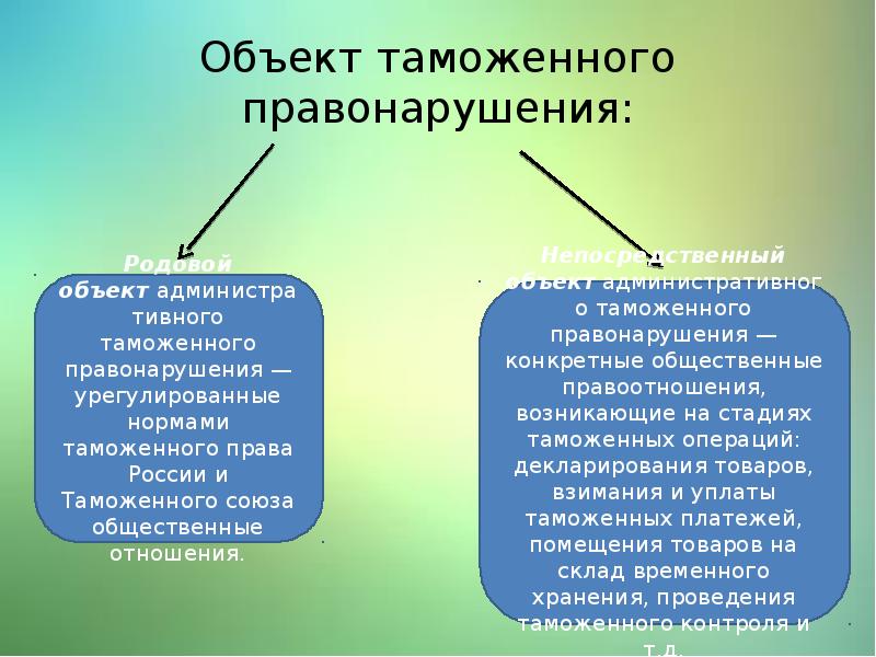 Объект административного правонарушения презентация