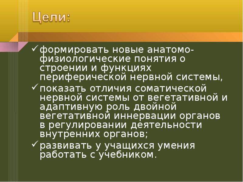 Презентация периферическая нервная система 8 класс