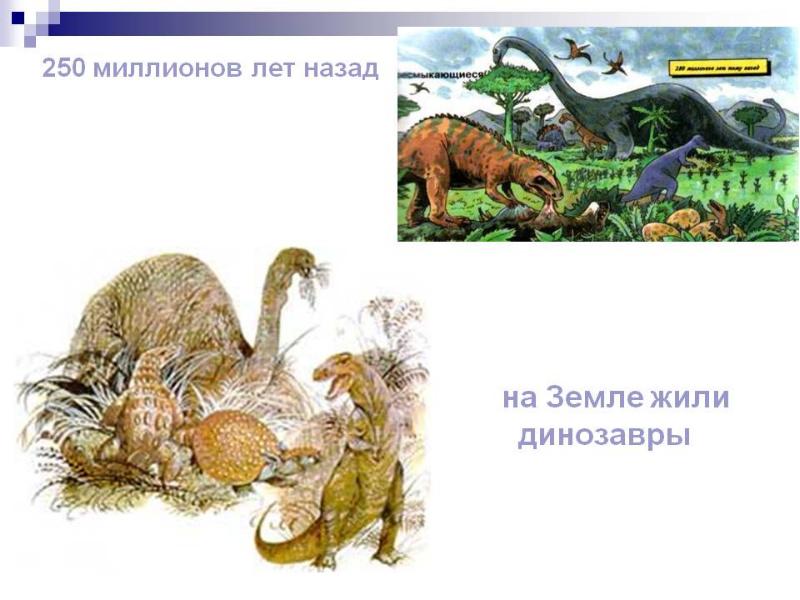 Когда жили динозавры 1 класс рабочий лист. Проект про динозавров. Презентация про динозавров 1 класс. Динозавры 1 класс. 250 Миллионов лет назад.