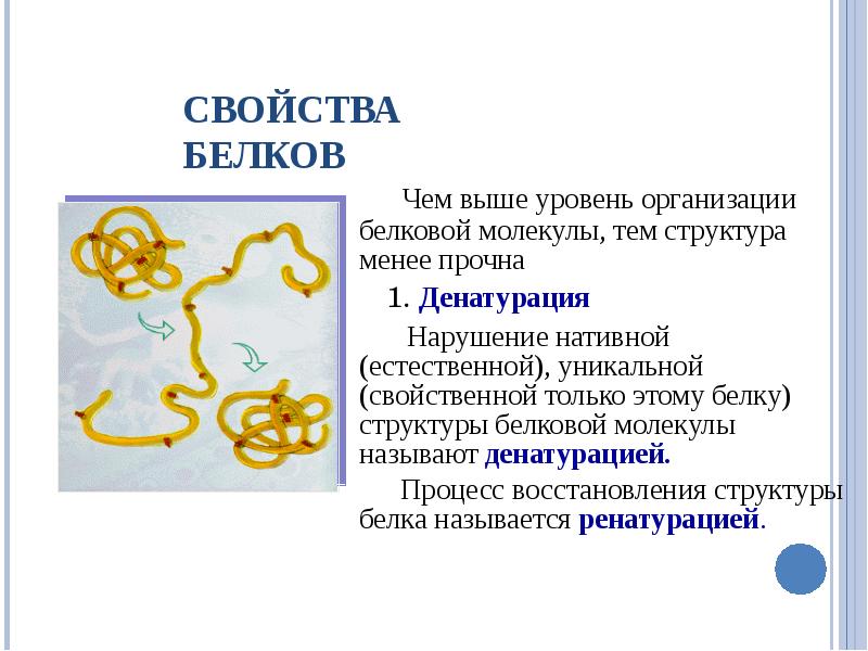 Молекулы белков называются. Нативная структура белка это. Свойства молекул белков. Свойства структуры белка. Уровни организации белка денатурация белка.