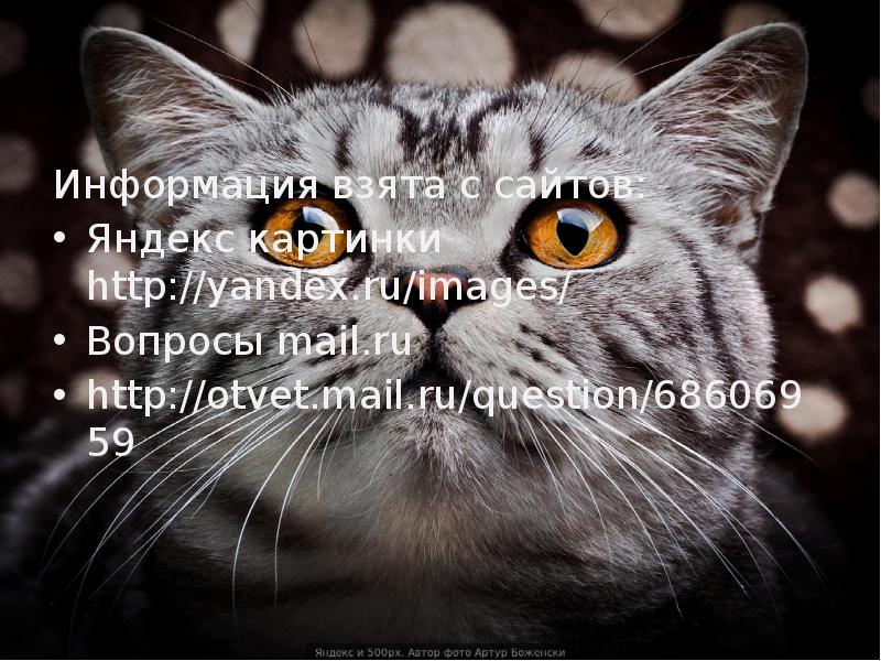 Информация взята с сайтов: Яндекс картинки http://yandex.ru/images/ Вопросы mail.ru http://otvet.mail.ru/question/68606959