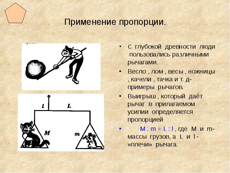 Презентация отношение и пропорции 6 класс