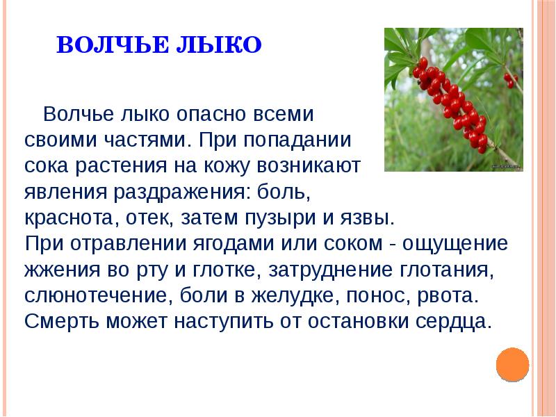 Доклад ядовитые