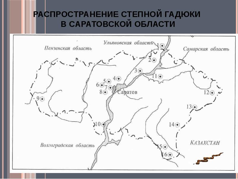 Карта обитания гадюк в подмосковье