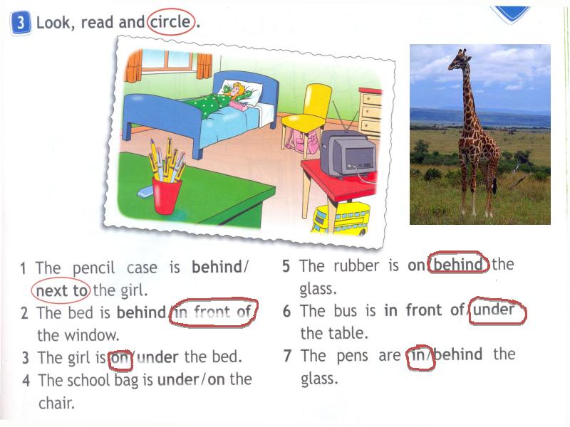 Were looked. Look read and circle. Look read and circle 3 класс. Look read and circle 4 класс. Look read and circle 2 класс.