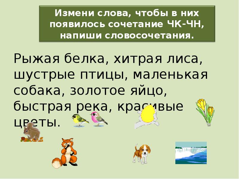 Презентация чк чн