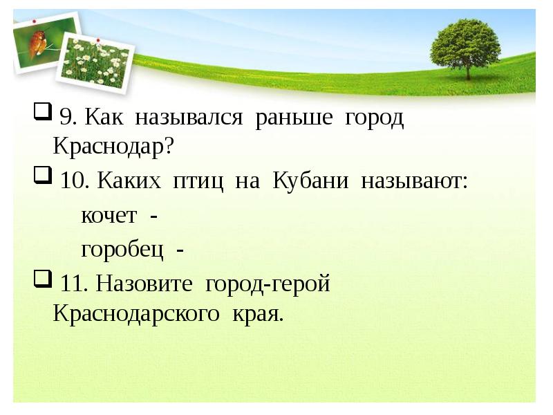 Край вопрос. Контрольная работа по кубановедению. Каких птиц на Кубани называют Кочет. Викторина по кубановедению 2 класс презентация. Тесты по кубановедению.