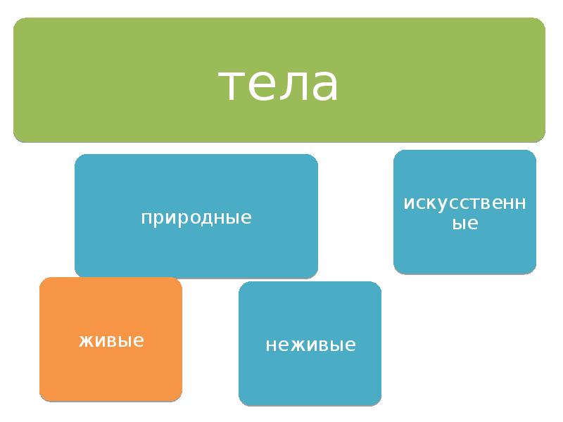 Естественный организм. Природные и искусственные тела. Природные тела Естественные и искусственные. Схема тела Естественные и искусственные. Естественные тела примеры.